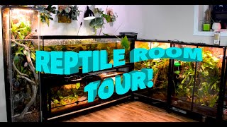 Reptile Room Tour Episode 1 [upl. by Adar575]