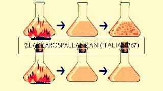 Lazzaro Spallanzanis Experiment [upl. by Uhayile]