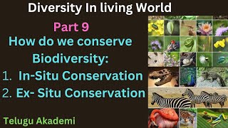 biodiversity Part 9  conservation of biodiversity telangana telugu zoologylecturesforneet [upl. by Keemahs632]