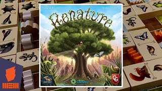 Renature — Fun amp Board Games w WEM [upl. by Joselyn]