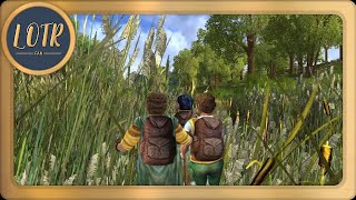 LOTR 141  Through Bog and Briar [upl. by Alihs980]