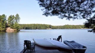 Muskoka Cottage for Rent 356 on Bigwind Lake near Bracebridge Ontario [upl. by Childs]