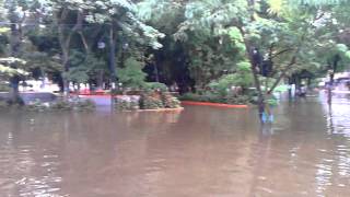 INUNDACIÓN GUASDUALITO PLAZA BOLÍVAR [upl. by Einahc680]