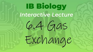 Mr Leonards IB Biology Course  64 Gas Exchange [upl. by Akived]