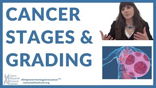 2  Grading of cancercancer stages  Cancer Education amp Research Institute [upl. by Massiw]