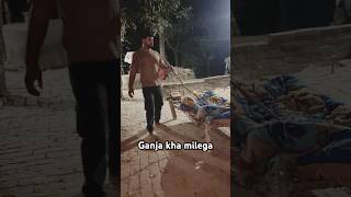 Ganja kha milega comedy video shortvideo funny viralvideo trending ytshorts youtubeshorts [upl. by Nikolas295]