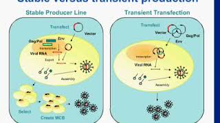 Development and Production of Viral Vectors Advances in Processes and Translation for Gene Therapy [upl. by Indira]