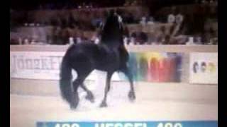 KFPS Friesian Stallion HESSEL 480 Hengstenkeuring 2014 [upl. by Clemence]