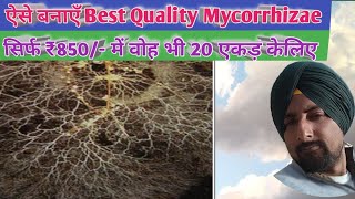 Best Bio fertilizer Mycorrhiza Make it at Home for 20 acre in ₹ 850 only [upl. by Einnaf58]