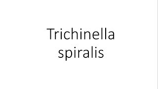 Trichinella spiralis  Parasitology [upl. by Gayelord]