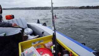 Intex Excursion 5 with 42 hp trolling motor on sea [upl. by Ynatsed]