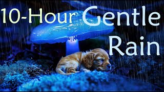 Ultimate Rain amp Thunder White Noise  10 Hours for Deep Sleep amp Focus [upl. by Yrennalf854]