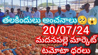 200724 Madanapalle Tomato Market price Today  Today Tomato Market Rate in Madanapalle today [upl. by Leicam]