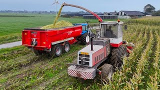 Mais oogst 2024 met STEYR 8300 bij Melkveeb Mts Overgaauw Vergeer 4K [upl. by Eerolam]