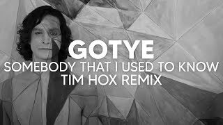 Gotye  Somebody That I Used To Know Tim Hox Remix TECH HOUSE [upl. by Baillie]