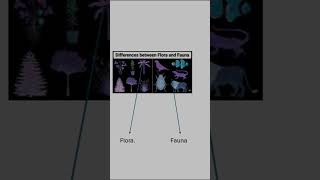 difference between flora and fauna pachmarhibiospherereserve class8science cbsesolution viral [upl. by Avitzur]