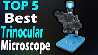 TOP 5 Best Trinocular Microscope Review In 2024 [upl. by Stockmon]