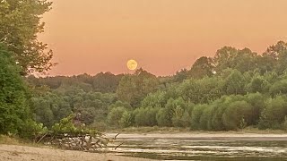 Tallapoosa River from AES to Ft Toulouse [upl. by Nadual]