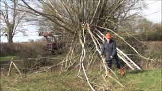 Pollarding a willow treePart 1 [upl. by Chic]