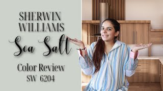 Sherwin Williams Sea Salt SW 6204 Color Review [upl. by Siram]