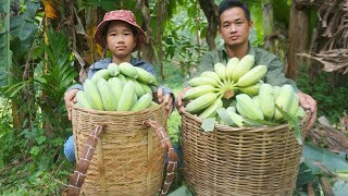 Working with an orphan girl on the farm harvesting banana gardens to sell at the market [upl. by Thorwald]