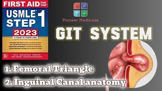 Anatomy of Inguinal Canal femoral triangle from first aid step 1part 8USMLEUrduHindi [upl. by Awe]