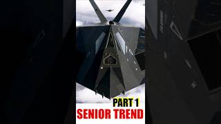 F117A NightHawk  Senior Trend  Part 1 [upl. by Marlowe836]