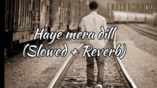 Haye Mera Dill slowedreverb Alfaaz ft Honey Singh lofisongssidhu [upl. by Notserc]