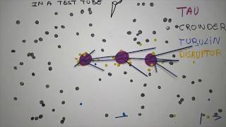 Microtubule nucleation through phase separation [upl. by Aneehsirk]