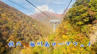 Autumn 🍂 tour to Tanigawadake  秋の谷川岳ロープウェイ [upl. by Jean47]