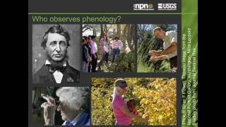 Introduction to Phenology [upl. by Nuj]