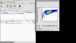 Gating Annexin V Data [upl. by Tutto]