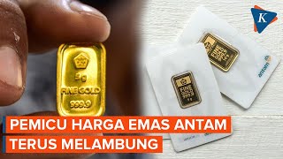 Harga Emas Antam Terus Melambung Apa Penyebabnya [upl. by Aioj]