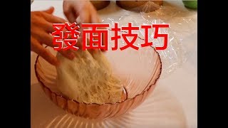 【麵點】包子饅頭發麵方法零失敗，记得面粉和水的比例2：1的基础上再添加面粉5的水好揉面。 [upl. by Rasec]