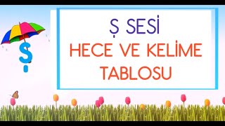 Ş SESİ HECE VE KELİME TABLOSU [upl. by Karisa]