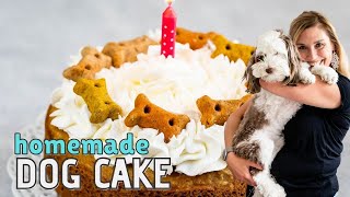 Easy Homemade Dog Cake Recipe [upl. by Ednalrym]