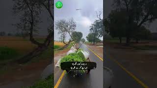 Urdu Poetry Part1  Mantiq urdu urduadab urdupoetry nature urdushayari urdusadpoetry [upl. by Ahsemrak839]