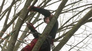 ITH de Gembloux  Section arboristes grimpeurs et élagueurs [upl. by Weed]