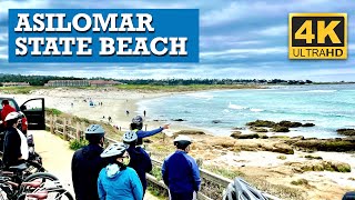 Drive Though Asilomar State Beach near Pacific Grove and Pebble Beach in Monterey County in 4K HDR [upl. by Phenice]