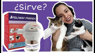 FELIWAY FRIENDS ¿SIRVE FERONOMAS PARA GATOS [upl. by Hsihsa136]