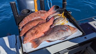 Fishing Lucinda Qld October 2023 Part 4  Reef fishing amp Snorkeling [upl. by Atiraj]