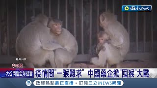 跌幅57 實驗猴價格跳水 中國quot囤猴quot藥企損失12億quot囤猴quot後遺症浮現 │記者 劉玨妤│【國際局勢】20240302│三立iNEWS [upl. by Gregrory]