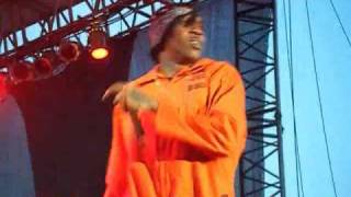 Vybz Kartel Live At Reggae Sumfest 2010 July 2010 [upl. by Okun]