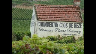 Gevrey Chambertin Grand Cru Premier Cru Villages [upl. by Renate]