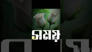 নাইরে নাইরে নাই আমার মনে শান্তি নাই। Naire naire nai Amar mone Santi nai 🥹🥹 😔😔 [upl. by Nawat223]