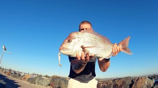 THE DANGERS OF ROCK FISHING  SNAPPER FISHING  NSW [upl. by Otreblanauj694]