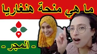 Vlog 2 🇭🇺 تعرف على منحة الدراسة بالمجر [upl. by Collayer]