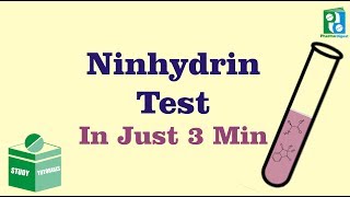 Ninhydrin Test Just in 3 min [upl. by Onailerua]