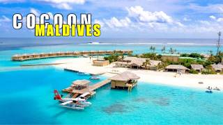 You Wont Believe The LUXURY Awaits at Cocoon Maldives [upl. by Naillig]