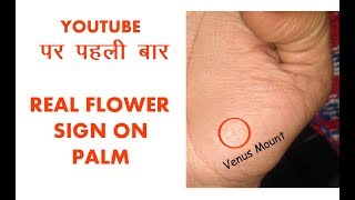 Flower sign in palmistry  Venus mount  lucky symbols career marriage income [upl. by Aihsakal]